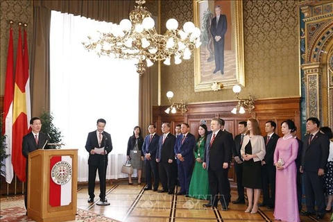 Президент Во Ван Тхыонг выступает на встрече с мэром Вены Михаэлем Людвигом. (Фото: Тхонг Нят/ВИА)