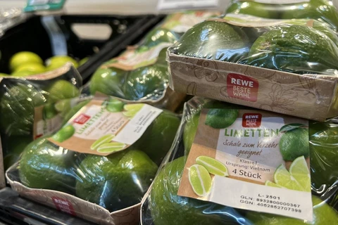 Вьетнамские лимоны появились на полках немецких супермаркетов. (Фото: ВИА)