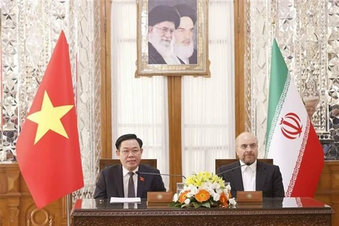 Председатель НC Выонг Динь Хюэ (слева) и спикер парламента Ирана Мохаммад Багер Галибаф во время переговоров (Фото: ВИА) 