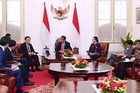 Председатель НС Выонг Динь Хюэ (пятый справа) на встрече с президентом Индонезии Джоко Видодо (Фото: ВИА)