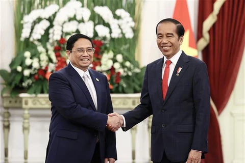 Премьер-министр Фам Минь Тьинь имел встречу с президентом Индонезии Джоко Видодо. (Фото: Зыонг Жанг/ВИА)