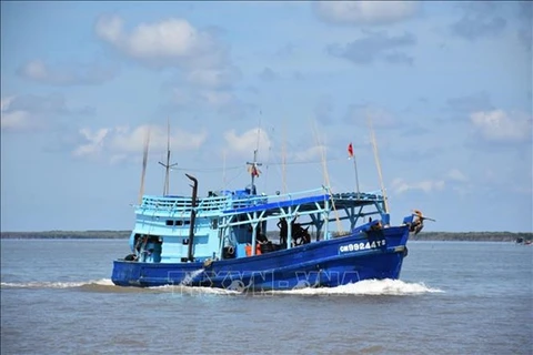 Рыболовное судно работает в водах Бакльеу. (Фото: ВИА)