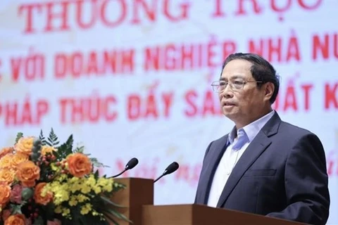 Премьер-министр Фам Минь Тьинь выступает на встрече (Фото: ВИА)