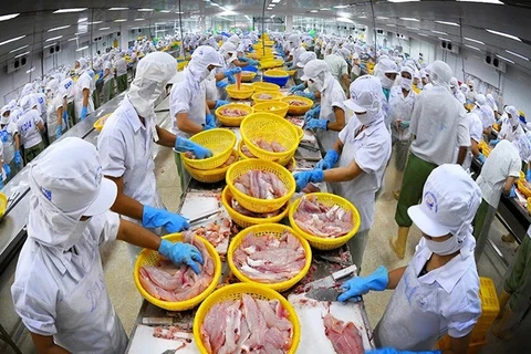 Морепродукты – один из сильных продуктов Вьетнама на рынке CPTPP. (Фото: ВИА)