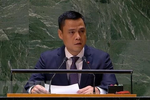 Посол Данг Хоанг Жанг, Постоянный представитель Вьетнама при Организации Объединенных Наций (Фото: ВИA)