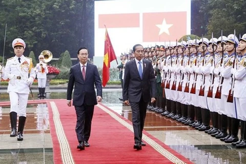 Президент Во Ван Тхыонг (слева) и его индонезийский коллега Джоко Видодо обходят почетный караул Вьетнамской народной армии. (Фото: ВИA)