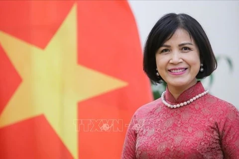 Посол Ле Тхи Тует Май, глава Постоянного представительства Вьетнама при ООН, ВТО и других международных организациях в Женеве (Фото: ВИА) 