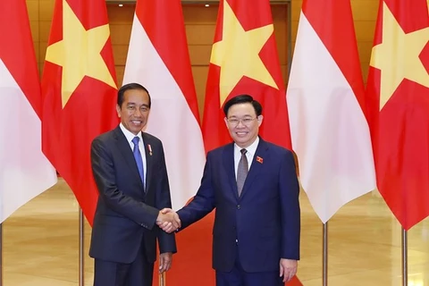 Председатель НС Выонг Динь Хюэ (справа) и президент Индонезии Джоко Видодо в Ханое 12 января. (Фото:ВИA)