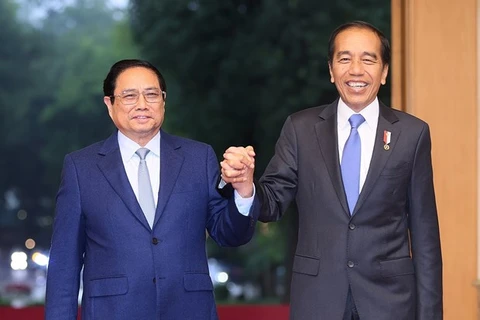 Премьер-министр Вьетнама Фам Минь Тьинь (слева) и президент Индонезии Джоко Видодо встречаются в Ханое 12 января. (Фото: ВИA) 