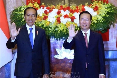 Президент Индонезии Джоко Видодо (слева) и его вьетнамский коллега Во Ван Тхыонг. (Фото: ВИA)