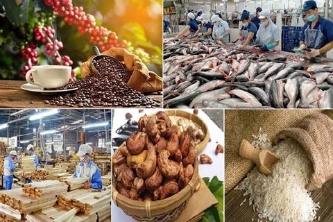 Вьетнам заработал 5,14 миллиарда долларов США на экспорте сельскохозяйственной, лесной и рыбной продукции в январе. (Фото: vneconomy.vn)