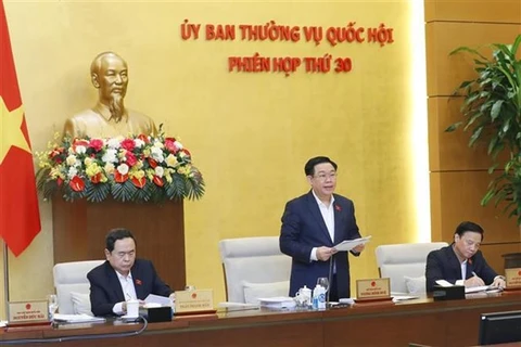 Председатель НС Выонг Динь Хюэ выступает на мероприятии. (Фото: ВИA)