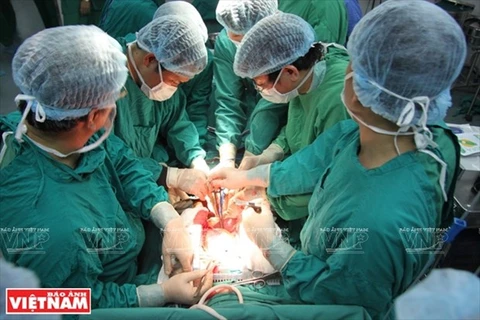 Врачи военного госпиталя № 103 проводят операцию по пересадке органов (Фото: ВИА)
