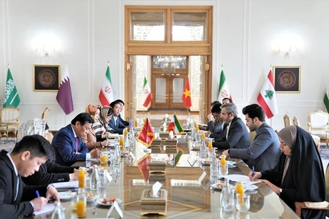 Восьмые политические консультации на уровне заместителей министров иностранных дел между Вьетнамом и Ираном (Источник: ВИA)