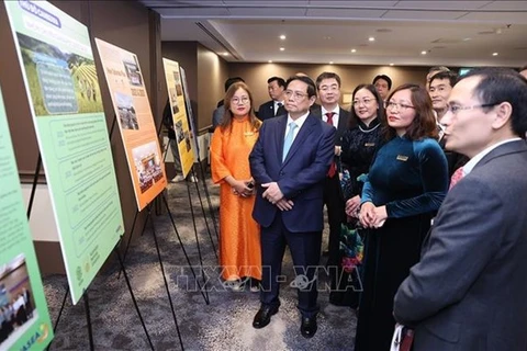 Премьер-министр Фам Минь Тьинь (в первом ряду, первый слева) слушает представление о научных и производственных областях VASEA в рамках рабочей встрече в Канберре 9 марта. (Фото: ВИA)