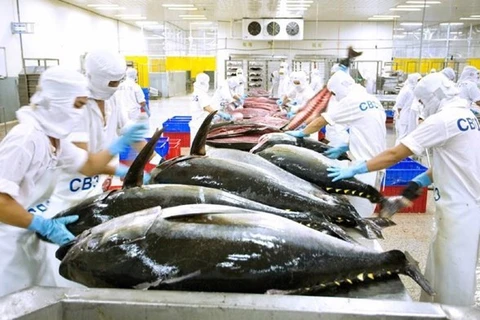Обработка тунца для экспорта (Фото: VASEP) 