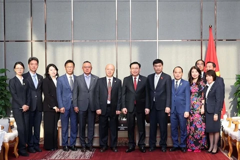 Председатель Национального собрания Выонг Динь Хюэ (седьмой слева) встречается с руководителями Yunnan Provincial Energy Investment Group Co, Ltd (YEIG) (Фото: ВИА)