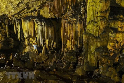 Пещера Ван Чинь - одна из самых больших и красивых пещер в провинции Ниньбинь