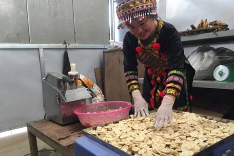 Производство сушеных бананов в коммуне Вихыонг, продукт OCOP района Батьтхонг, провинция Баккан. (Фото: ВИА)