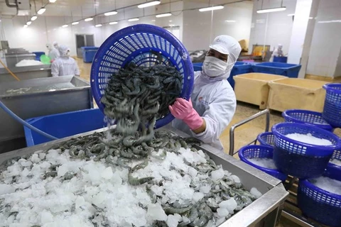 Завод по переработке креветок корпорации Minh Phu Seafood в провинции Камау. (Фото: ВНА)