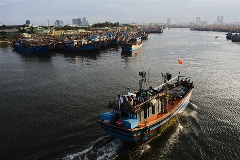 Рыбацкие лодки в порту Тхокуанг, город Дананг. (Фото: ВИА)