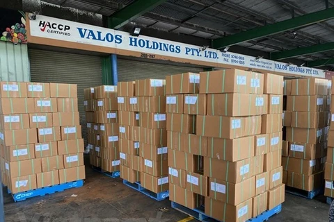 Партия из 7 тонн замороженного дуриана экспортируется в Австралию (Фото: ВИА)