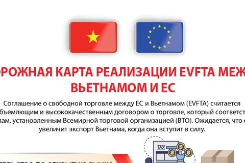 План реализации EVFTA между Вьетнамом и Европейским Союзом