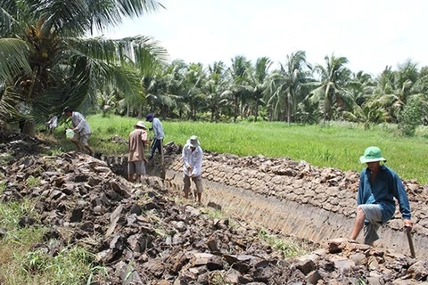 Бенче является одним из наиболее уязвимых местностей для изменения климата в дельте реки Меконг. (Источник: nhandan.com)