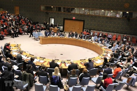 На заседании СБ ООН (Фото: ВИА)