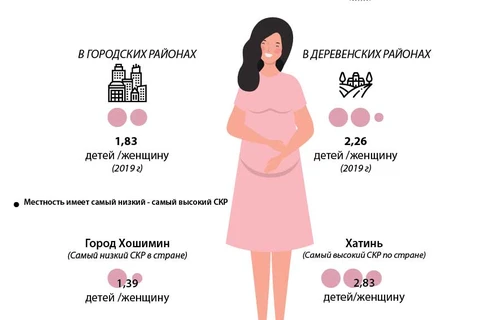 Общая картина текущего состояния рождаемости во Вьетнаме