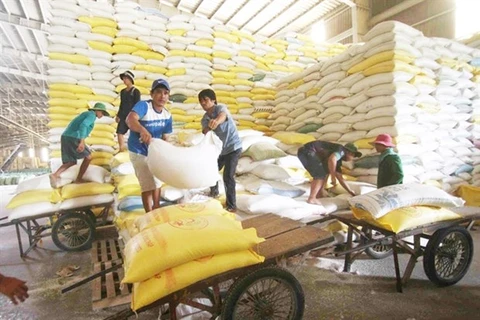 Рабочие загружают мешки с рисом на предприятии Song Hau Food Company (южная продовольственная корпорация Вьетнама). (Фото: ВИА)
