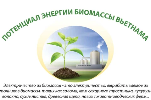 Потенциал энергии биомассы Вьетнама
