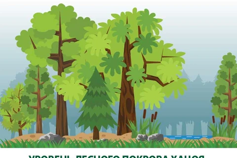 Уровень лесного покрова Ханоя достигает 5,67%.
