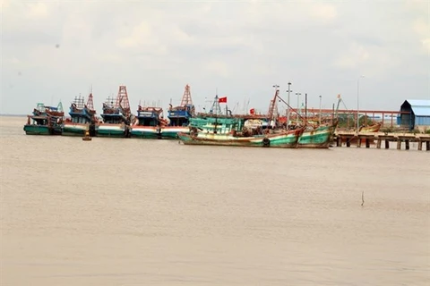 Рыбацкие лодки в провинции Бенче. Провинция планирует расширить морское рыболовство для обеспечения устойчивого рыболовства (Фото: ВИА)