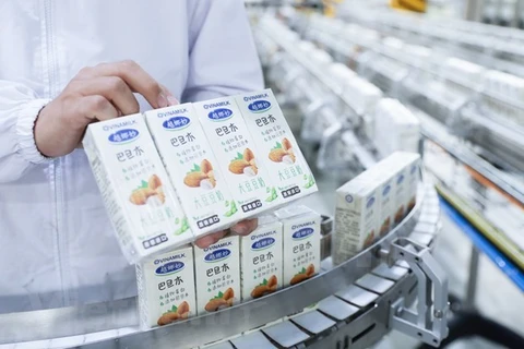 Vinamilk экспортирует десять контейнеров растительного молока в Китай в первые дни 2021 года (Фото: ВИА)