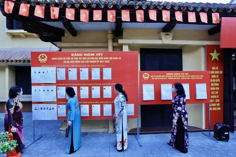 Избиратели просматривают список кандидатов в приходе Дьенбьен в районе Ханоя Бадинь. (Фото: ВИА) 