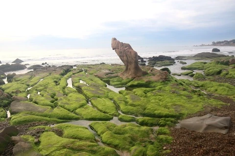 Моховой пляж Котхать - достопримечательность в Биньтхуане (Фото: ВИА)