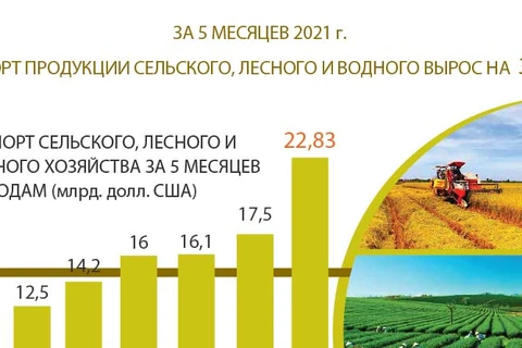 Экспорт продукции сельского, лесного и водного хозяйства вырос более чем на 30%
