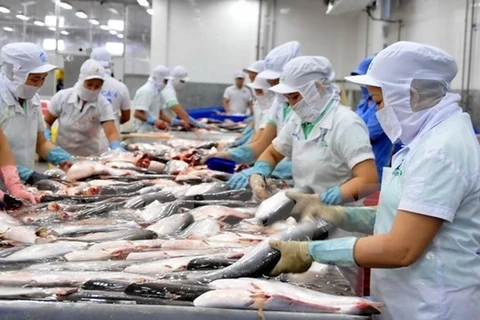 Рабочие перерабатывают рыбу на экспорт (Фото: ВИА)