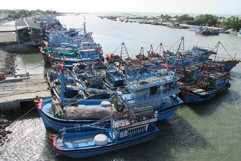 Рыболовные суда причаливают к порту Ниньчу в Ниньтхуан (Фото: ВИА)
