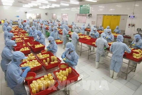 Экспорт фруктов и овощей Вьетнама в первой половине этого года превысил 2,06 миллиарда долларов. (Фото: ВИА)