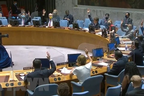 Обзор заседания СБ ООН по Йемену (Фото: ВИА)