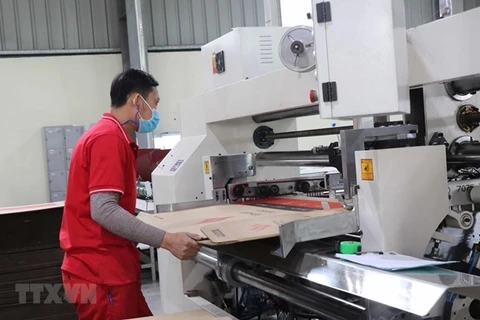 Рабочий на фабрике в северной провинции Бакнинь. (Фото: ВИА)