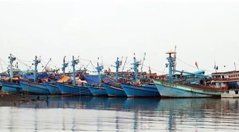 Рыболовные суда бросили якорь в водах города Ратьжа, провинция Киенжанг (Фото: ВИА)