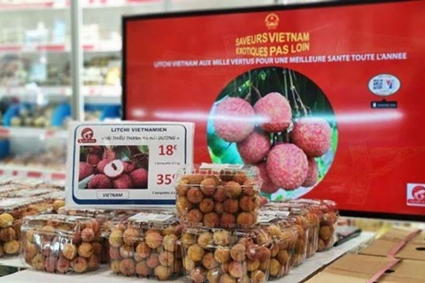 Личи «Тхиеу» Тханьха из северной провинции Хайзыонг продается в магазинах Франции. (Фото: hanoimoi.com.vn)