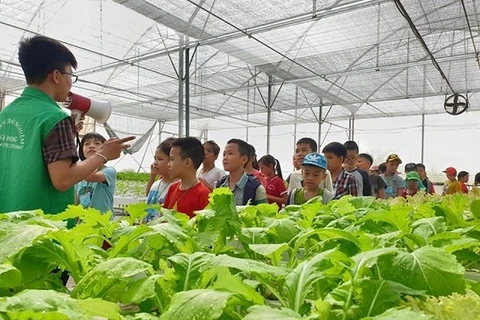 Дети посещают ферму Хайданг в уезде Тханьчи (Фото: Kinhtedothi.vn)
