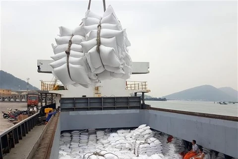 Мешки с рисом загружаются на корабль на экспорт. (Фото: ВИА)