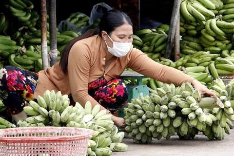 Бананы продаются на рынке Камау в районе 7 (Фото: ВИА) 