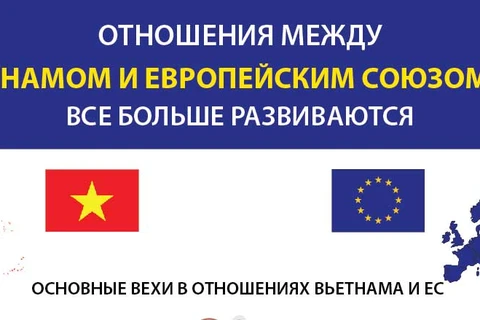 Отношения между Вьетнамом и Европейским союзом (ЕС) все больше развиваются