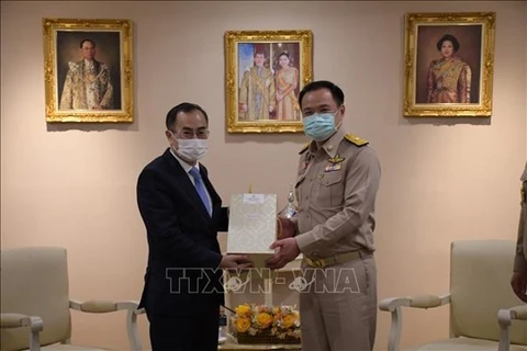 Заместитель премьер-министра и министр здравоохранения Таиланда Анутин Чарнвиракул (справа) и посол Вьетнама в Таиланде Фан Чи Тхань (Фото: ВИА)